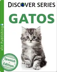 Gatos