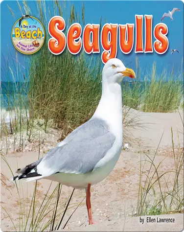 Seagulls book