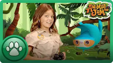 Cami Meets a Sloth! book