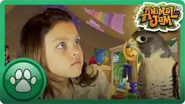 Cami Meets a Falcon book