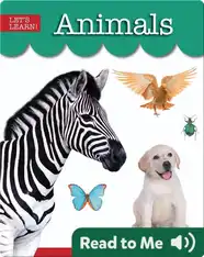 Animals
