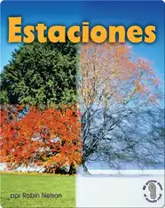 Estaciones (Seasons)