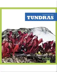 Tundras