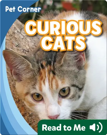 Curious Cats book