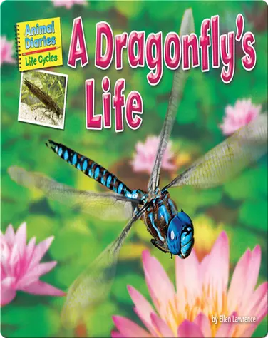 A Dragonfly's Life book