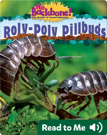 Roly-Poly Pillbugs book