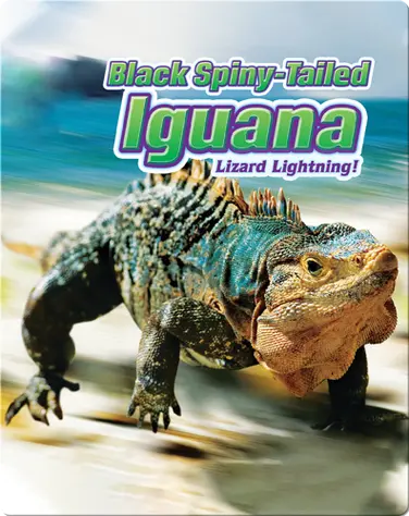 Black Spiny-Tailed Iguana: Lizard Lightning! book