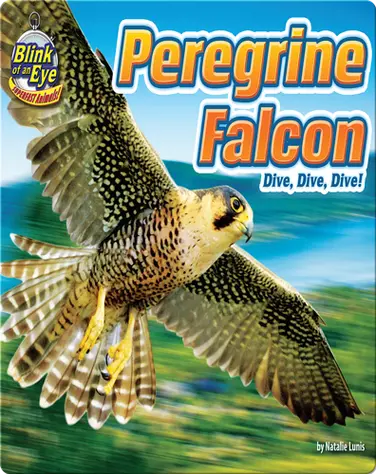 Peregrine Falcon: Dive, Dive, Dive! book