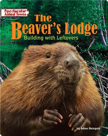 The Beaver's Lodge: Building with Leftovers book
