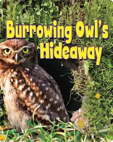 Burrowing Owl's Hideaway book