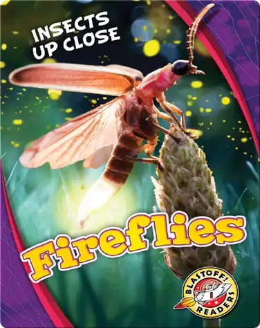 Fireflies book