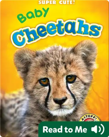 Super Cute! Baby Cheetahs book