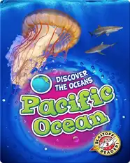 Pacific Ocean