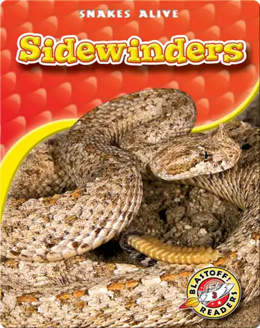 Sidewinders book