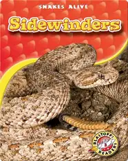 Sidewinders