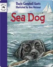Sea Dog