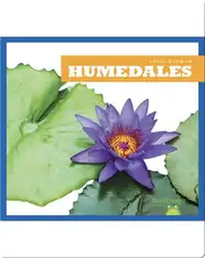 Humedales (Wetlands)