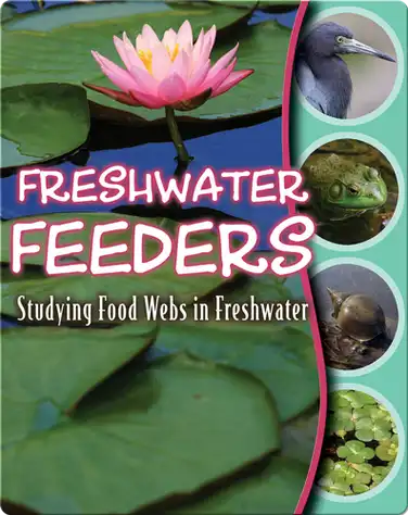 Freshwater Feeders: Studying Food Webs In Freshwater book