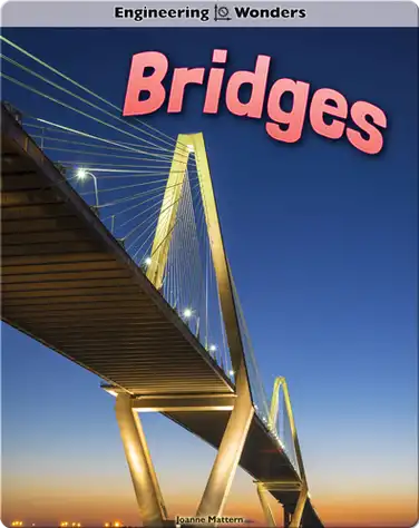 Bridges book