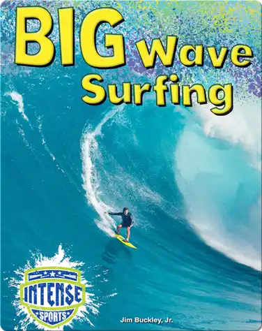 Big Wave Surfing book