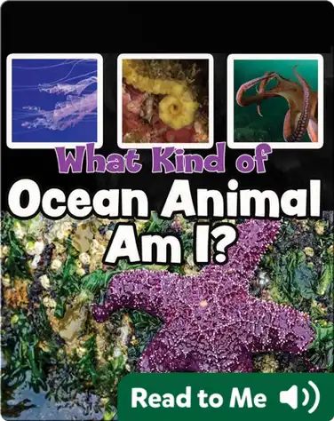 What Kind of Ocean Animal Am I? book