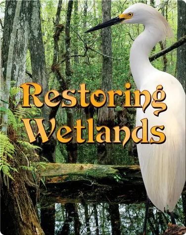 Restoring Wetlands book