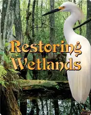 Restoring Wetlands