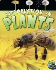 Reproduction in Plants