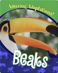 Beaks