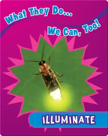 Illuminate book