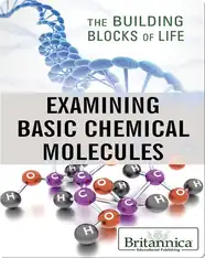 Examining Basic Chemical Molecules