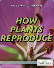 How Plants Reproduce