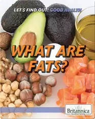 What Are Fats?
