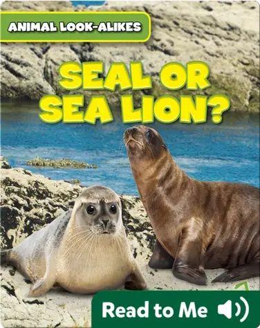 Seal or Sea Lion? book
