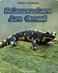 Salamanders Are Gross!