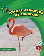 Sit and Stand