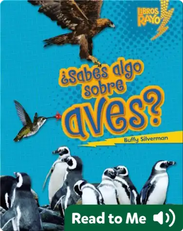 ¿Sabes algo sobre aves? (Do You Know about Birds?) book