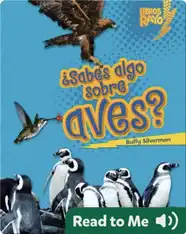 ¿Sabes algo sobre aves? (Do You Know about Birds?)