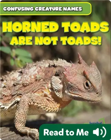 Horned Toads Are Not Toads! book