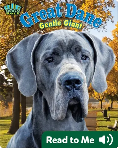 Great Dane: Gentle Giant book