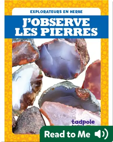J’observe les pierres book