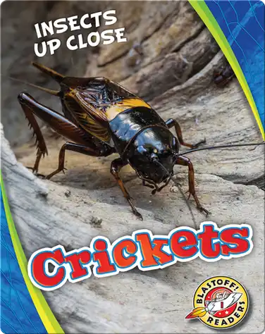 Crickets book