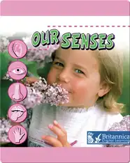 Our Senses