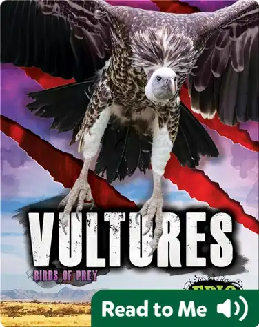 Vultures book