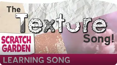 The Texture Song book