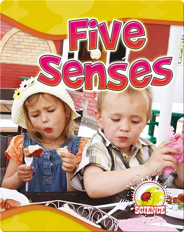 Five Senses book