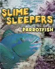 Slime Sleepers: Parrotfish