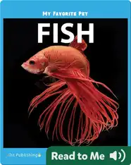 My Favorite Pet: Fish