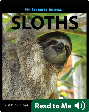 My Favorite Animal: Sloths book