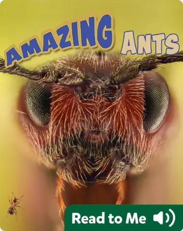 Amazing Ants book